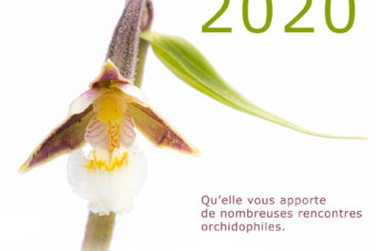 Nos meilleurs vœux 2020
