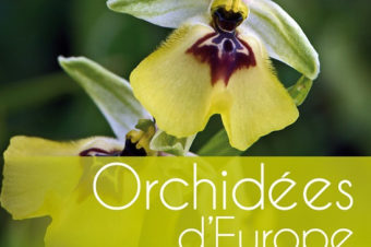 Orchidées d’Europe et de Méditerranée