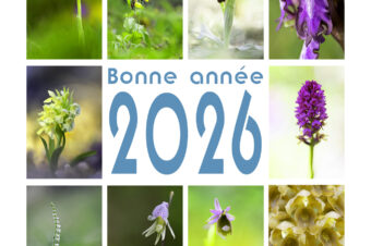 Bonne année 2026