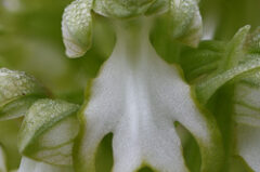 Première de l&rsquo;année