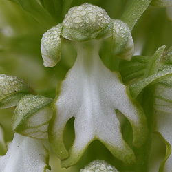 Première de l&rsquo;année